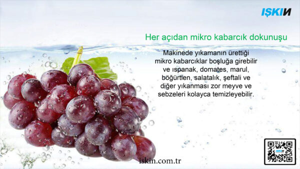 Gıda Sterilize Makinesi