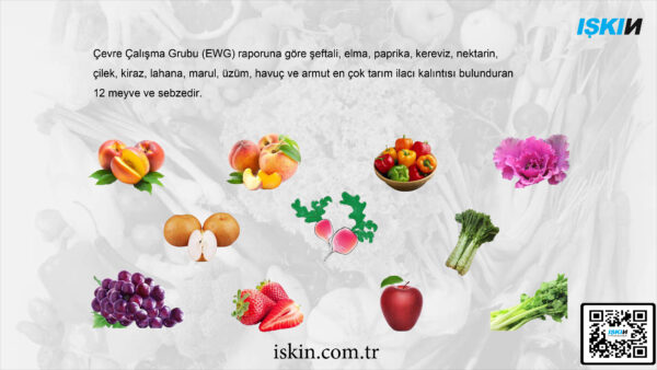 Gıda Sterilize Makinesi