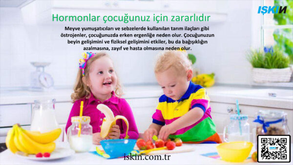 Gıda Sterilize Makinesi