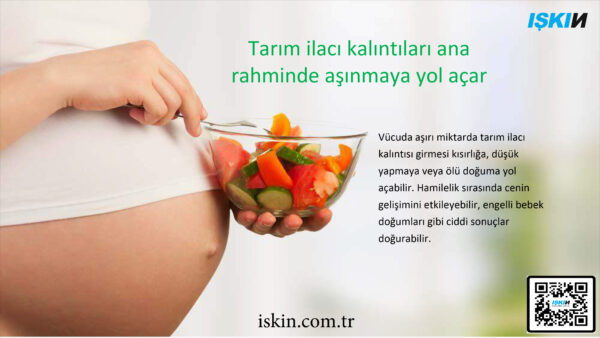 Gıda Sterilize Makinesi