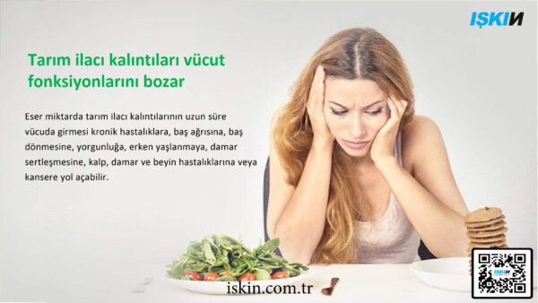 Gıda Sterilize Makinesi